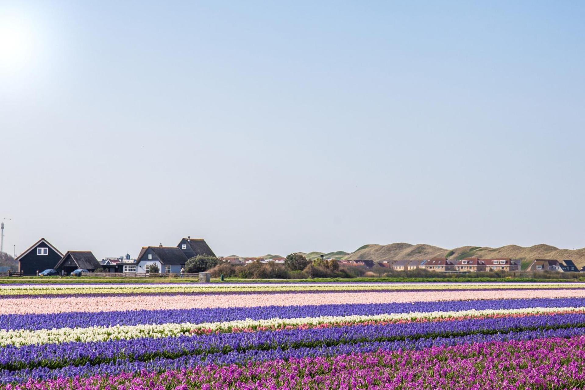 Beach Appartement 14 - Aan De Duinen, Callantsoog Aan Zee Kültér fotó