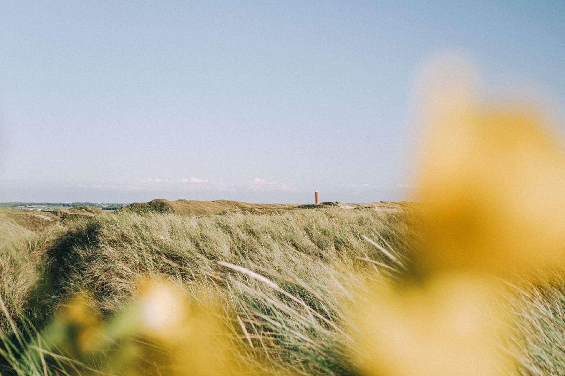 Beach Appartement 14 - Aan De Duinen, Callantsoog Aan Zee Kültér fotó